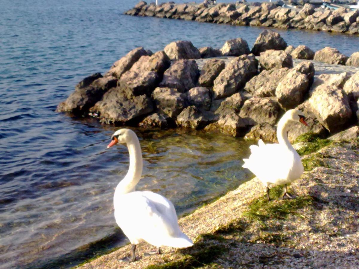 Apartment Residenza Al Sogno - On Garda *